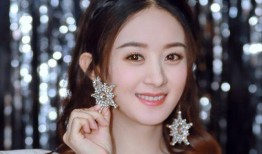 赵丽颖最新爆料,揭秘演艺生涯背后的心酸与坚持